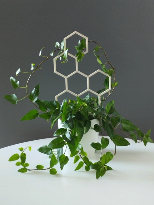 Honey Honing Plantensteun 3D Geprint Perfect Voor Elk Planttype