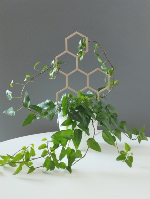 Honey Honing Plantensteun 3D Geprint Perfect Voor Elk Planttype
