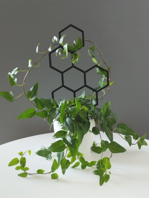 Honey Honing Plantensteun 3D Geprint Perfect Voor Elk Planttype
