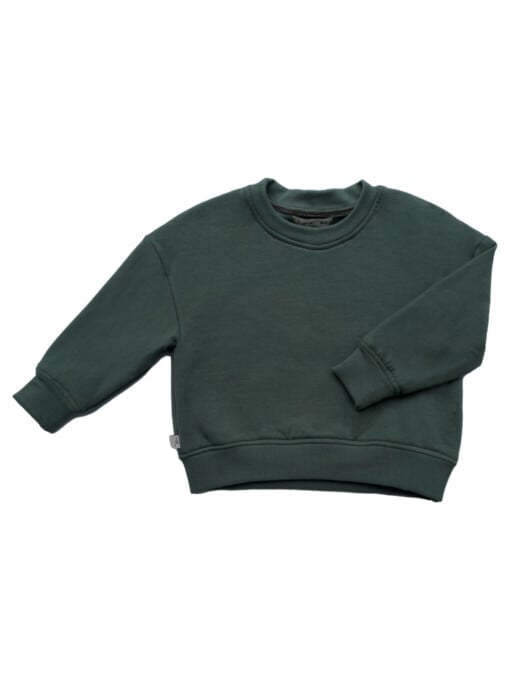 100% biologisch katoen Sweater