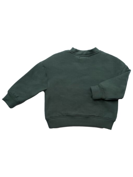 100% biologisch katoen Sweater