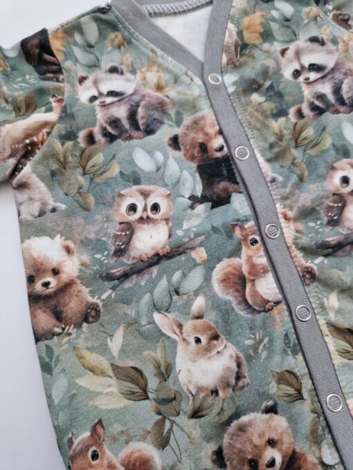 Boxpakje-safari dieren
