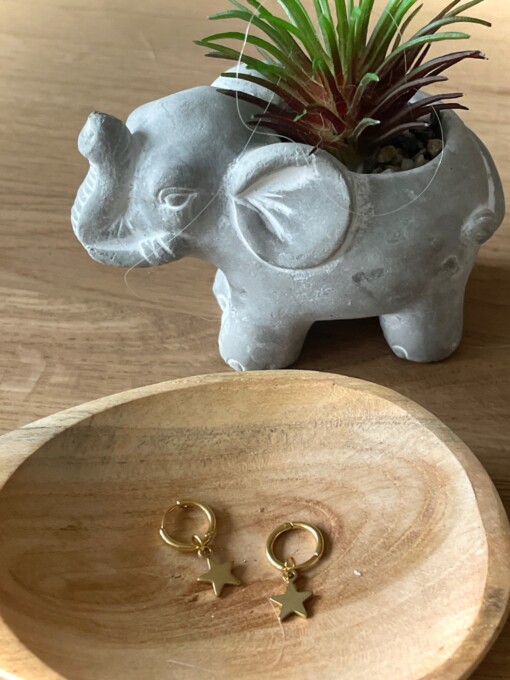 Gouden creolen met ster