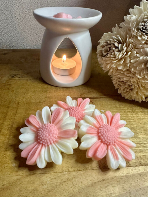 3 Valentijn Flowers Wax melts