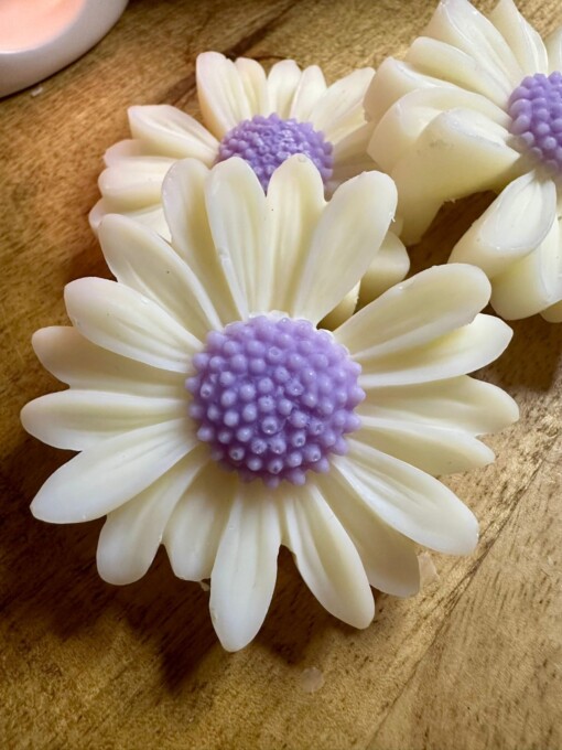 Waxmelts Spicy Samba - kaneel / nootmuskaat / sinaasappel
