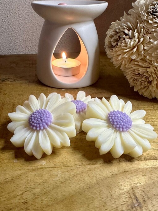 Waxmelts Spicy Samba - kaneel / nootmuskaat / sinaasappel