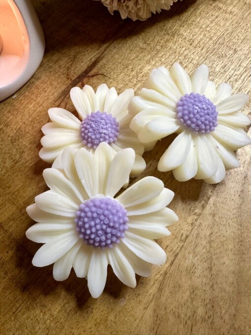 Waxmelts Spicy Samba - kaneel / nootmuskaat / sinaasappel