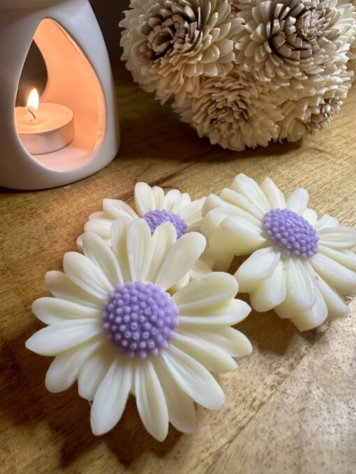 Waxmelts Spicy Samba - kaneel / nootmuskaat / sinaasappel