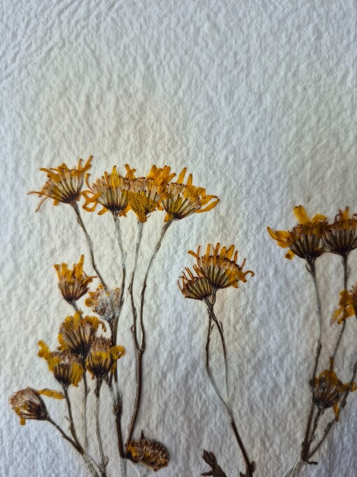 Poster gemaakt van handgeschept papier met gele bloemen (inclusief passe-partout)