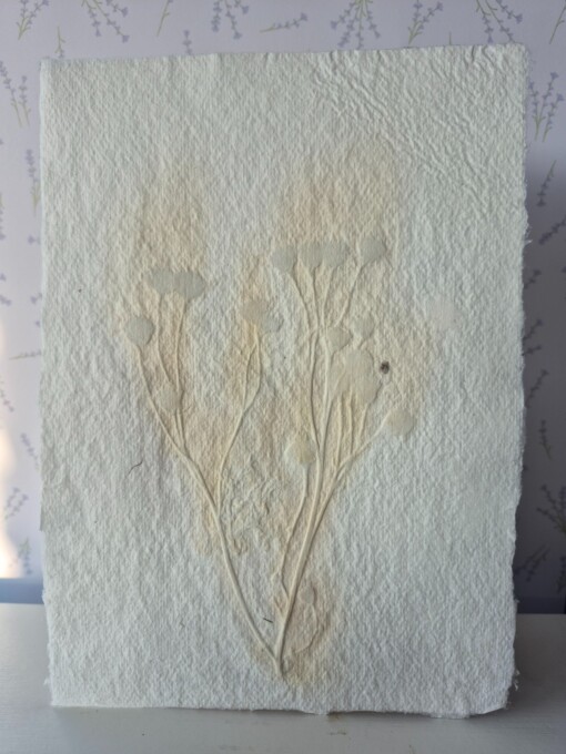 Poster gemaakt van handgeschept papier met gele bloemen (inclusief passe-partout)