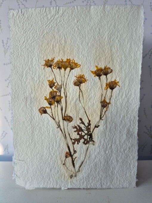 Poster gemaakt van handgeschept papier met gele bloemen (inclusief passe-partout)