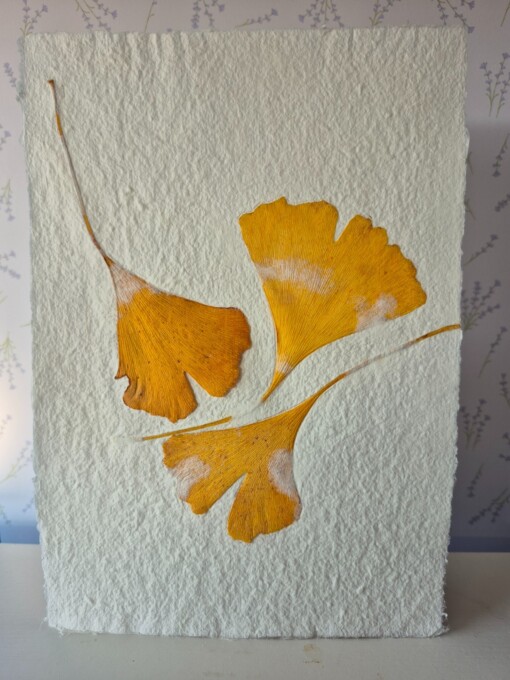 Poster gemaakt van handgeschept papier met ginkoblad (inclusief passe-partout)