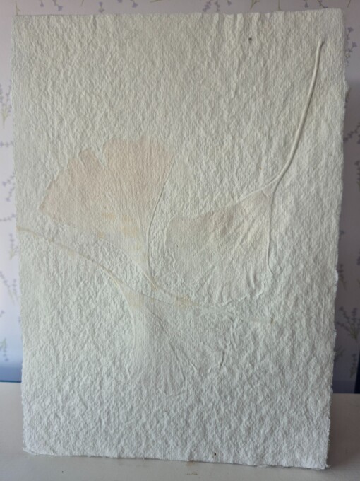 Poster gemaakt van handgeschept papier met ginkoblad (inclusief passe-partout)