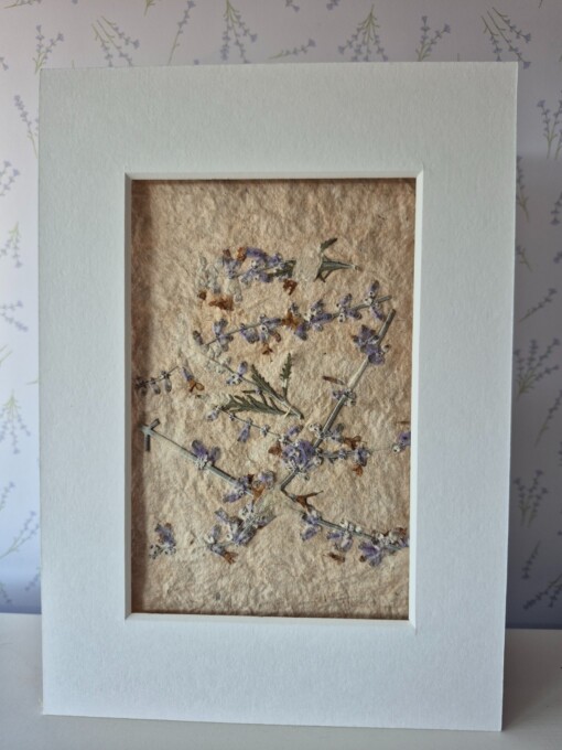 Poster gemaakt van handgeschept papier met lavendel (inclusief passe-partout)