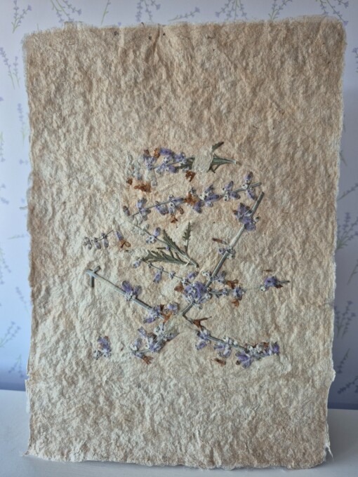 Poster gemaakt van handgeschept papier met lavendel (inclusief passe-partout)
