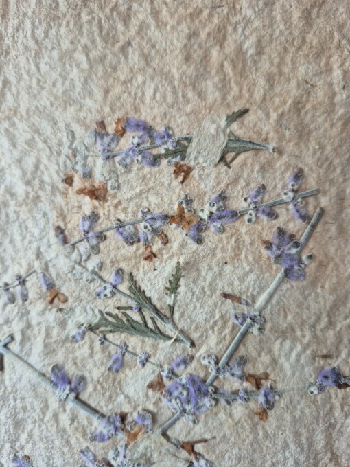 Poster gemaakt van handgeschept papier met lavendel (inclusief passe-partout)