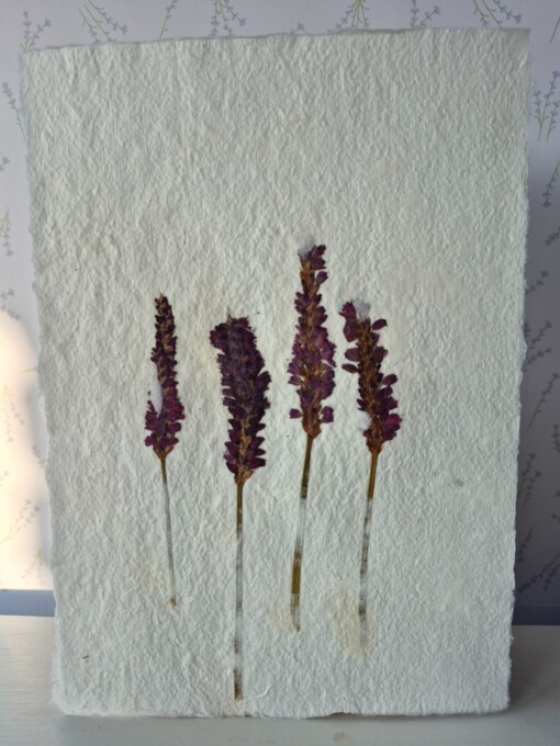 Poster gemaakt van handgeschept papier met pink inspiration (inclusief passe-partout)