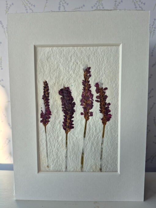 Poster gemaakt van handgeschept papier met pink inspiration (inclusief passe-partout)