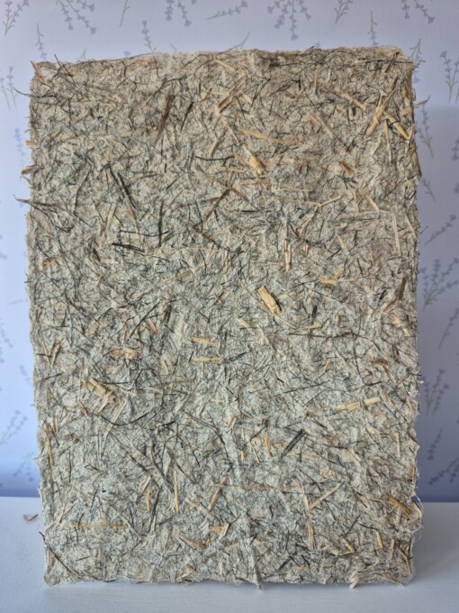 Poster gemaakt van handgeschept papier met rietpluim (inclusief passe-partout)