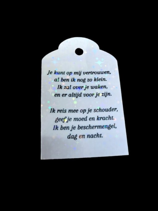 Setje van 5 Stainless steel engel ketting hangers met Swarovski zilverkleurig
