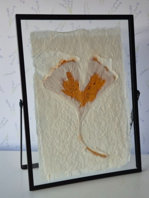 Handgeschept papier met Ginkoblad ingelijst in een moderne zwarte lijst 13x18