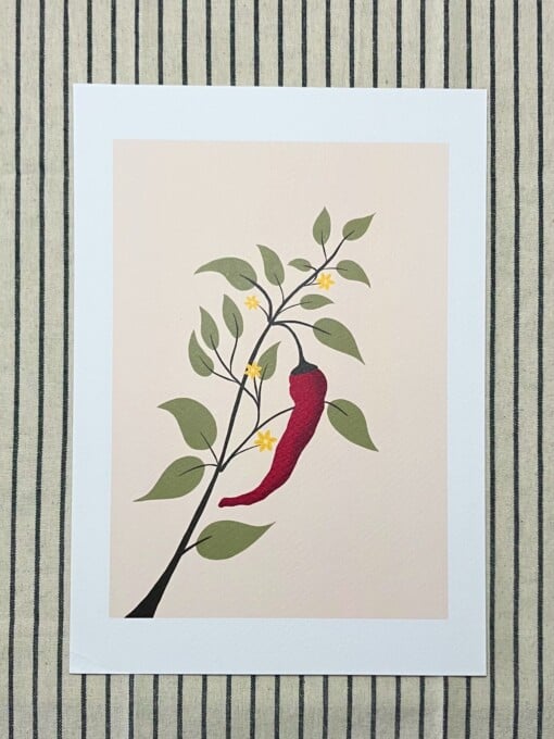 Chili plant kunstprint – botanische illustratie met rode peper | A4 poster 21x30 cm