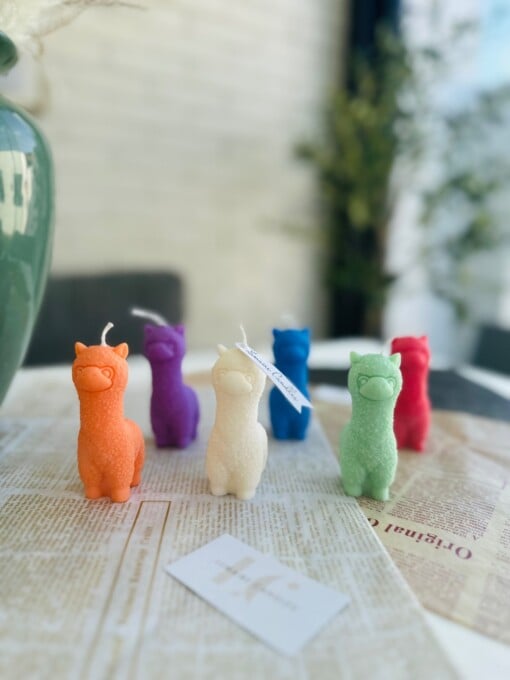 Alpaca
