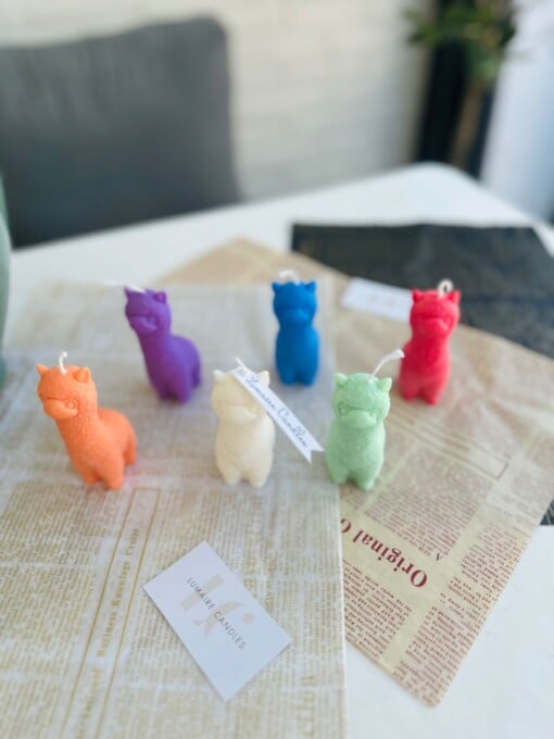Alpaca