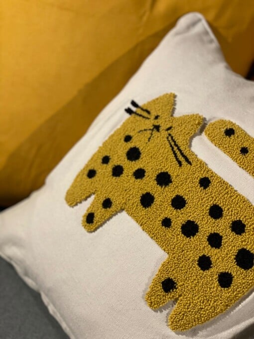Suzy’s cat’s collection