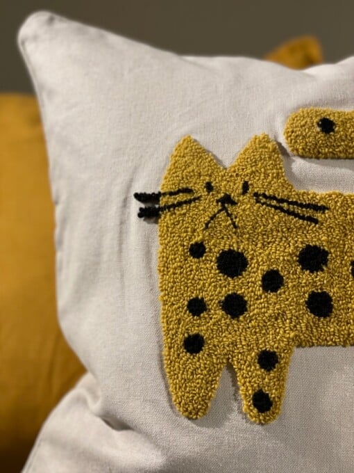 Suzy’s cat’s collection