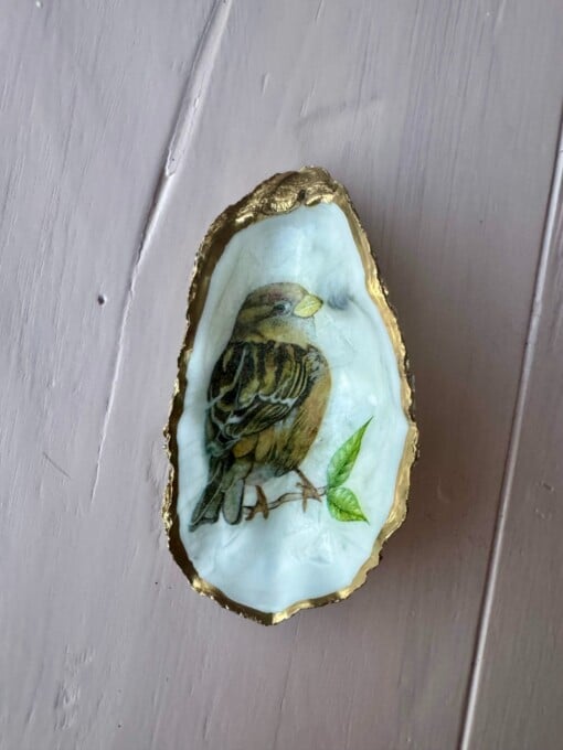 DIY schelpen knutselpakket voor thuis