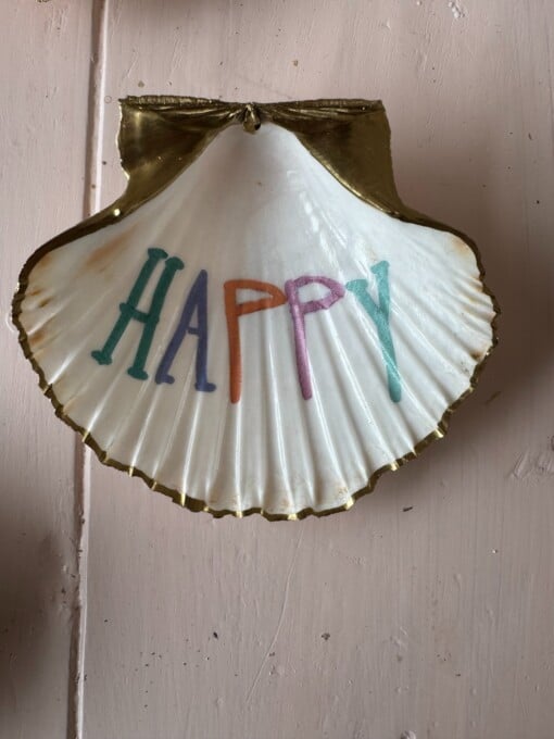 DIY schelpen knutselpakket voor thuis