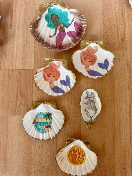 DIY schelpen knutselpakket voor thuis