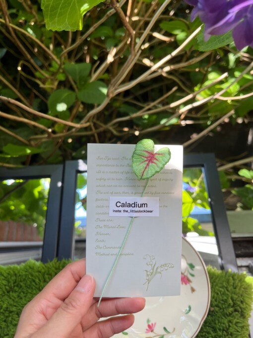 Gehaakte Caladium Bladeren – Boekenlegger & Magneet