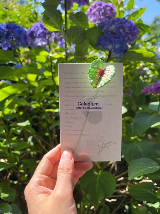 Gehaakte Caladium Bladeren – Boekenlegger & Magneet