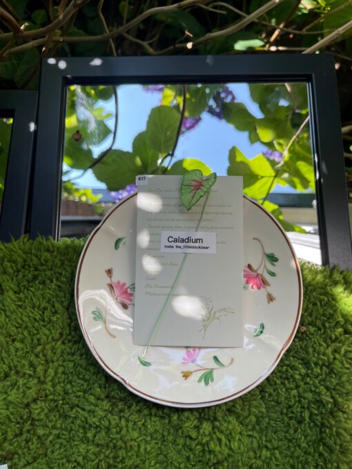 Gehaakte Caladium Bladeren – Boekenlegger & Magneet