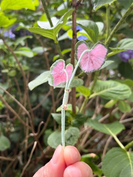 Micro Gehaakte Caladium Broche – Handbeschilderde Blaadjes