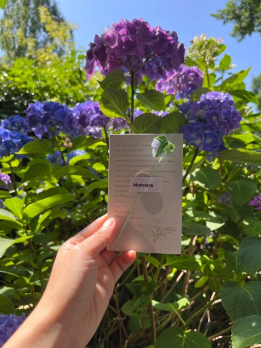 Micro Gehaakte Monstera Blad – Boekenlegger & Magneet