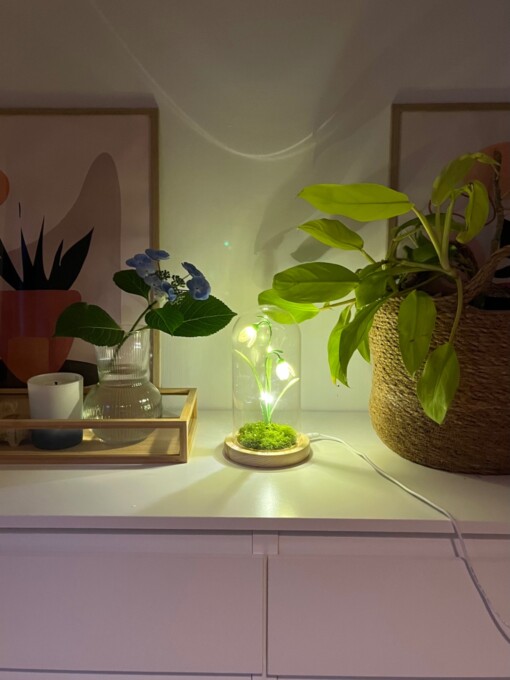 Gehaakte Sneeuwklokjeslamp – Zacht Licht, Lentegevoel