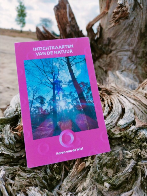 Inzichtkaarten van de natuur - 50 inspiraties om bij stil te staan