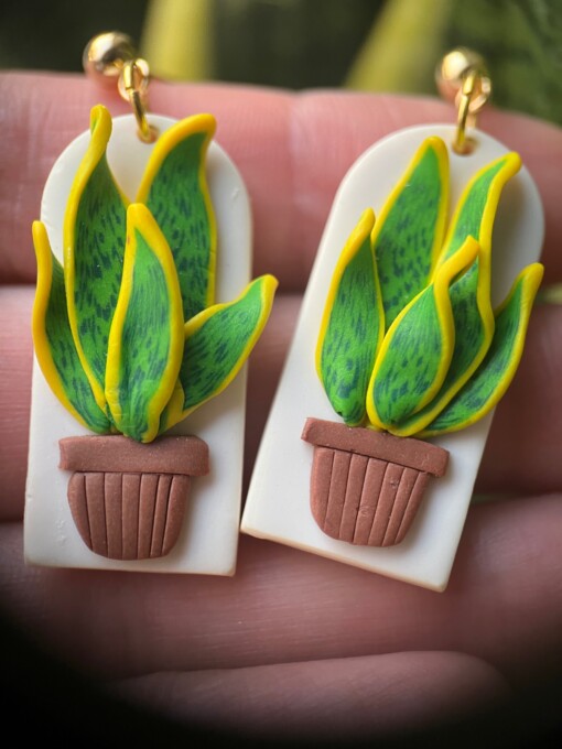 Kamerplant sanseveria oorbellen