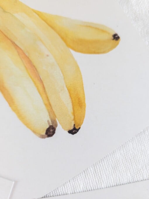 Bananen wenskaart – Handgeschilderde aquarelkaart | Anna-Mae Studio