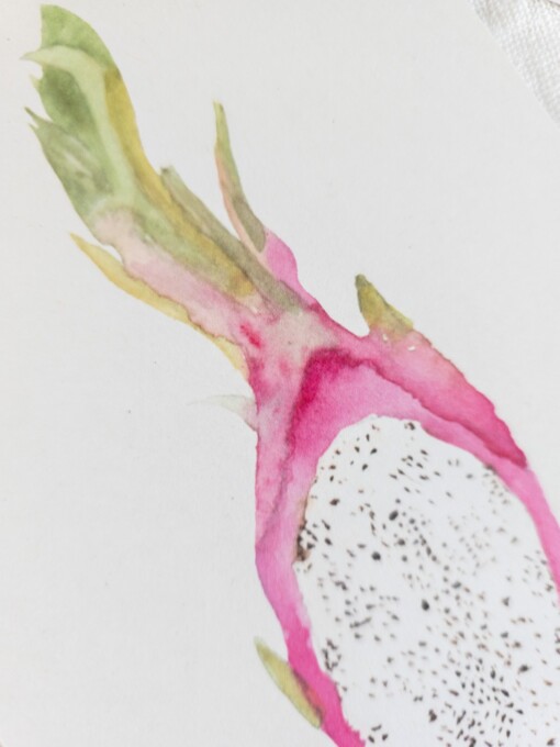 Dragon Fruit Kaart | Handgeschilderde wenskaart – Anna-Mae Studio