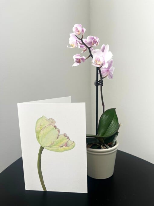 Wenskaart 'Lichtgele tulp'