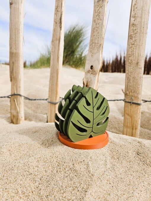 Leuke Monstera onderzetters set van 5 stuks