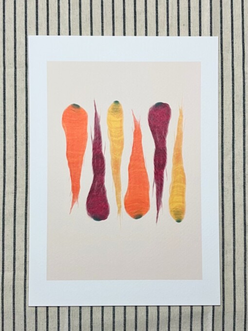 Regenboogwortels kunstprint – kleurrijke botanische food illustratie | A4 poster 21x30 cm