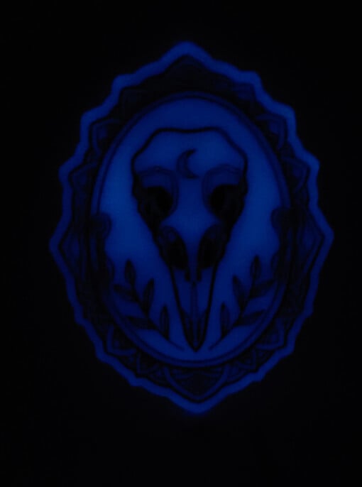 Vogel schedel glow in the dark muur decoratie