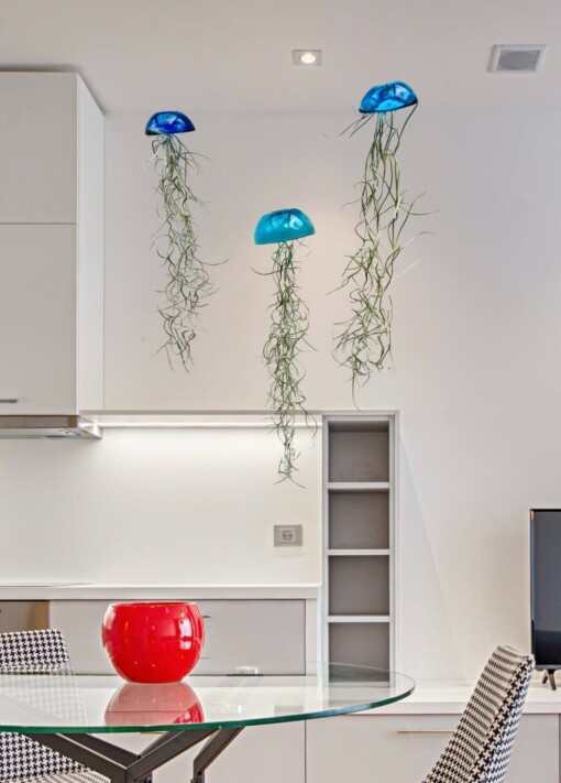 Set van drie mooi gekleurde Jellyfish luchtplantjes, gemaakt van Epoxy en Spaans mos