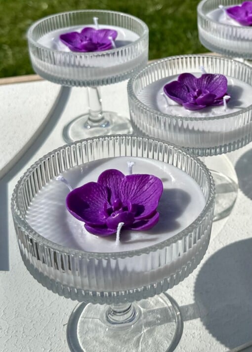Orchid Glow
