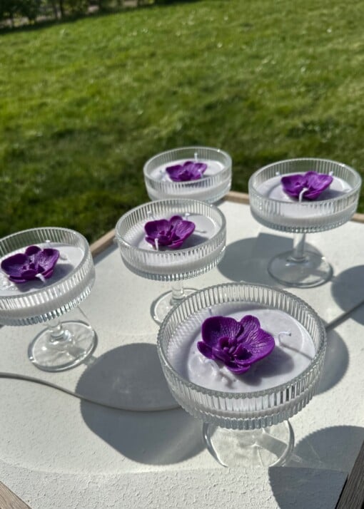 Orchid Glow